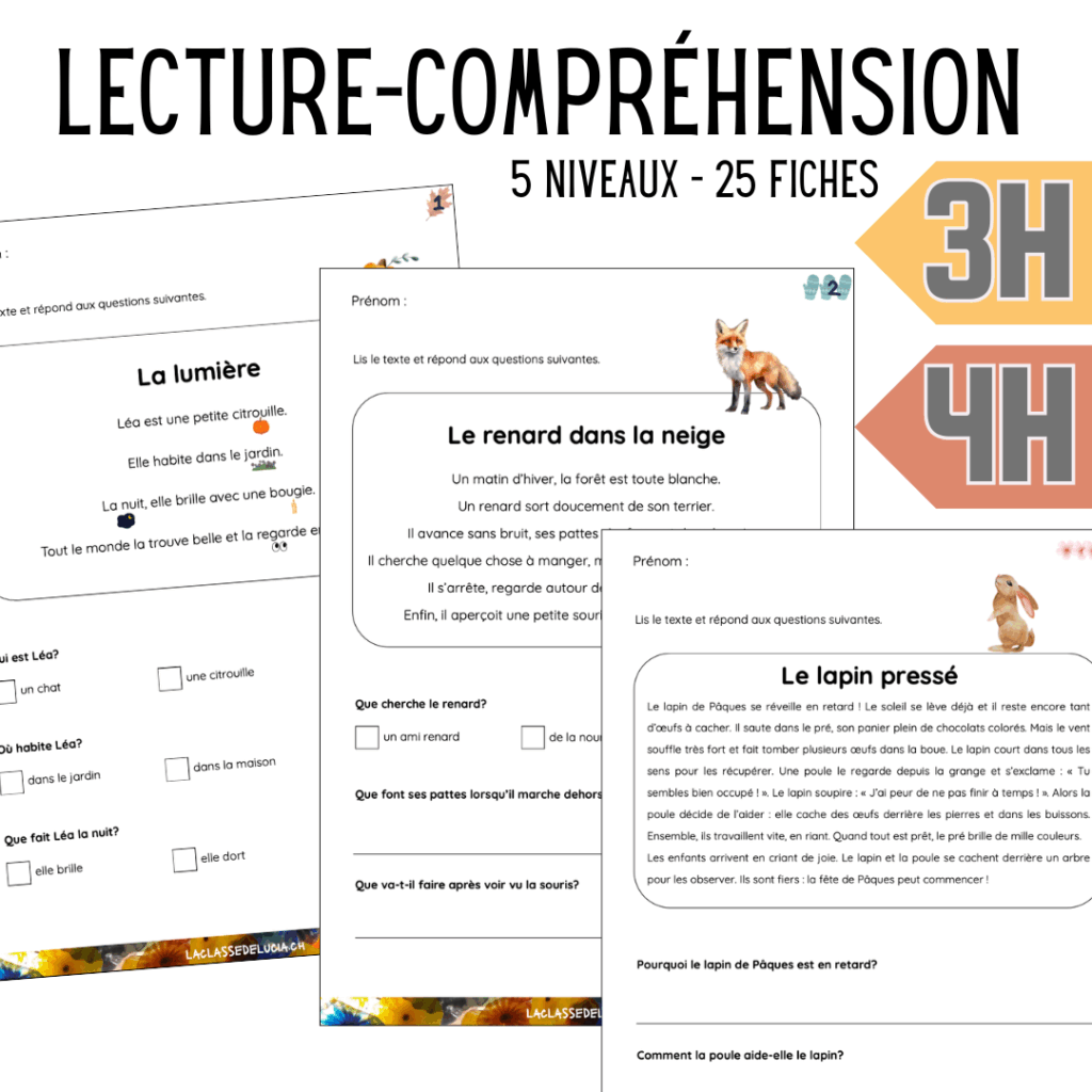 Français - 3H-4H - Lecture-compréhension