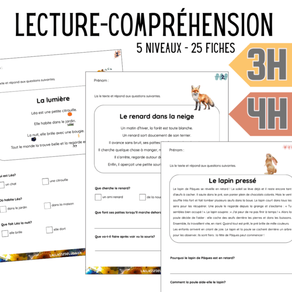 Français - 3H-4H - Lecture-compréhension